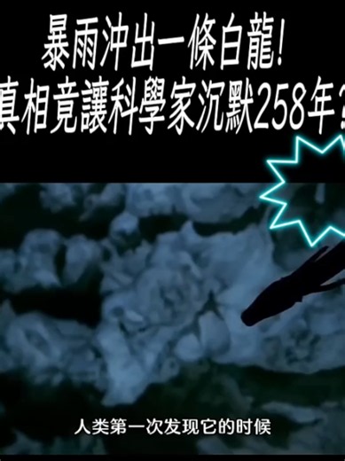 #真實錄影非AI 這確定是地球的生物嗎? 天生神獸 龜息大法 辟穀大法 斷肢重生 長生不老