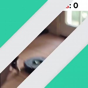 Where humans might fail against the machines, puppers will surely prevail.😂 | Northern Exposure Siberian Husky Rescue