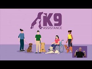 A Day in the Life: An Assistance Dog's Experience