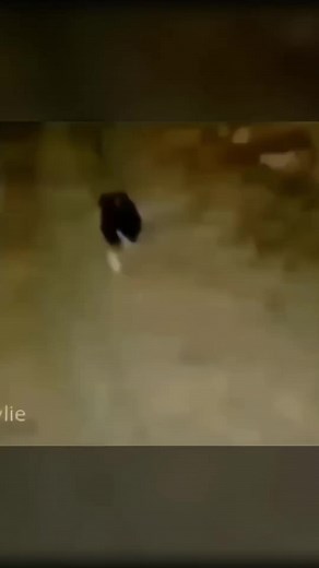 Shinra Tensei Explained: Pain's Power in Naruto