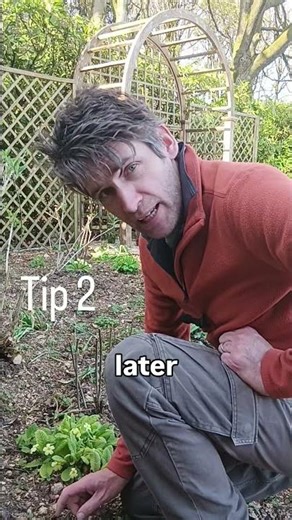 A few tips for your spring garden. #gardeningtips #springgarden #plants #weeding #watering