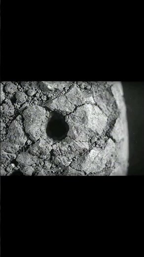 ¿Qué fue lo último que vieron? La cruda realidad de Pompeya #pompeya #historia #arqueologia