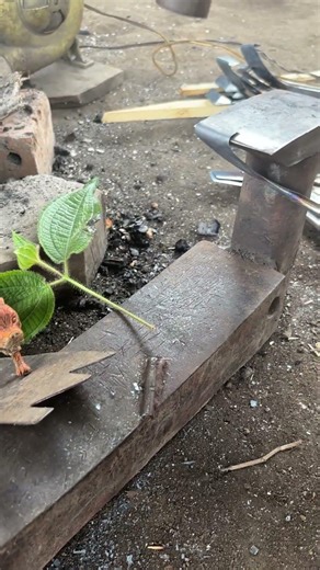 The process of forming a tapping knife blade for a rubber tree, with traditional methods-#art #tools