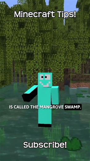 What Is The Command To Find A Mangrove Swamp In Minecraft?!