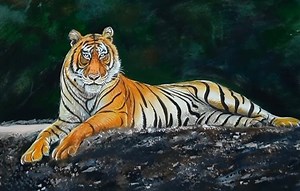 5.5K views · 415 reactions | How to draw a tiger #tiger #drawing #painting #art #postercolour | Paintings | Facebook