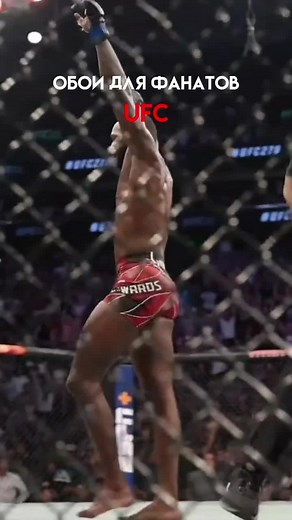 Mixed Martial Arts Highlights from UFC Event