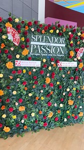 We have officially opened the highly anticipated "Splendor and Passion: Baroque Spain and Its Empire" exhibition, along with "Legacy: The Mayers and Friedman Collection." On November 6th, we welcomed media and sponsors for an exclusive preview of the 16th and 17th works by the masters before the public opening on November 7th. Tickets are available now. Visit our website for this month's events and more details. #bocamuseum #bocaratonmuseumofart #artlover #baroqueera #artexhibitions | Boca Raton