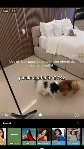Todos los efectos de la cámara son gratis #hypic #hypicpioneer #hypiclatam #dafnnejm #shorts