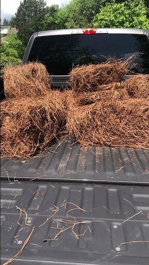 How to Buy Pine Straw at Home Depot