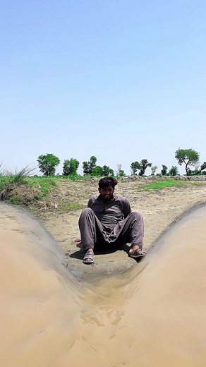 Zidi pani meaning: What 'Zidi pani' means and why it's viral