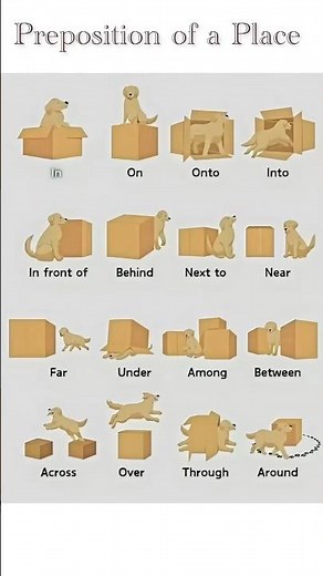 Preposition of Place in English Grammar 🔥#english #grammar #preposition #shortsfeed