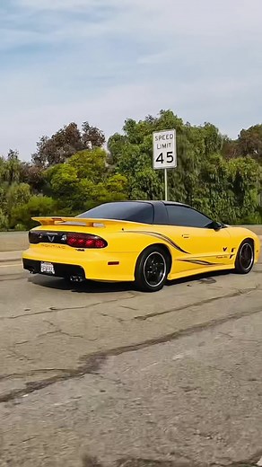 2002 Collectors Edition Trans Am WS6 #pontiac #transam #ws6 #pontiactransam #pontiactransamws6 #pontiactransamfirebird #pontiacfirebird #pontiacfirebirdtransam #pontiacws6 #Collectors #collectorsedition #6spd #6spdmanual #manual #manualtransmission #ls1 #oldschool #musclecar #musclecars #musclecarsoftiktok #generalmotors #liveyourbestlife #bayarea #concord #bayarearealtor #goodagentteam #reels Your Neighborhood Realtor