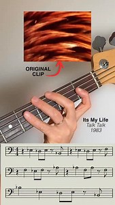 Want more? comment Circle Bass Circle is my bass training membership designed to stop the guessing and help you see real progress. Weekly lessons, focused exercises, backing tracks, challenges, and direct live guidance — so you always know exactly what to practice. Get full access for 10 days for $7. | Bass Pro