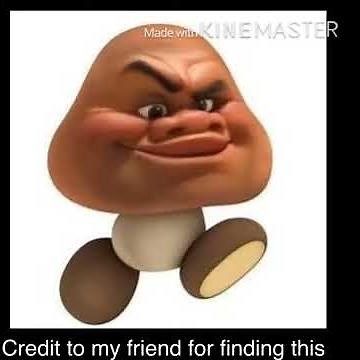 MAUI GOOMBA