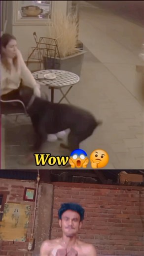 72K views · 601 reactions | Respect輸, luckily there is a dog that gives a code that a disaster is coming#action #fighter #reelsfyp #boxing #fitness #workout #gym #olahraga #fyp #viral #monetisasikonten #jangkauan #fypviral #funny | No Tahilya | Facebook