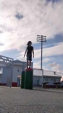 backflips and hero flips