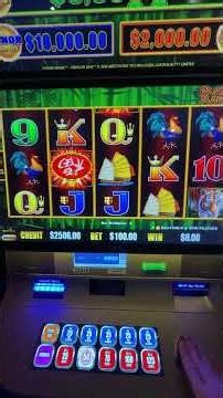 Today I bet my entire balance #betting