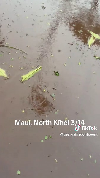 Traversing Deep Mud in Maui: A Comedic Adventure