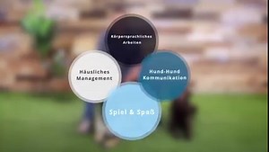 An alle Hundefreunde! Ich habe eine tolle Überraschung für euch! 🐶 Der neue Kurs der Doguniversity ist da: “Bindung & Beziehung – Die unsichtbare Leine” Der Name kommt daher, da Du mit diesem Training eine unsichtbare Leine aus Vertrauen und Harmonie erschaffst, durch die ihr euch einmalig gut verstehen werdet. Warum❓ Weil nach diesem Online-Training ✔️ Du Profi in der Hund-Hund-Kommunikation bist und so deinen Hund und seine Bedürfnisse lesen kannst. ✔️ ihr so glasklar kommunizieren könnt, das