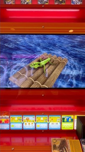 【Animal Kaiser Plus】Miracle Attack Part 15 Blackhole #animalkaiser #game #cards #shorts