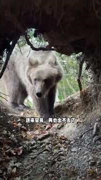 Not All Odd Holes Are Dug: The Hidden World of Caves