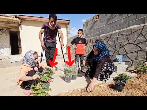 The Magic of Flowers: Creating a Beautiful Garden in Majid's Yard with the Help of an Operator