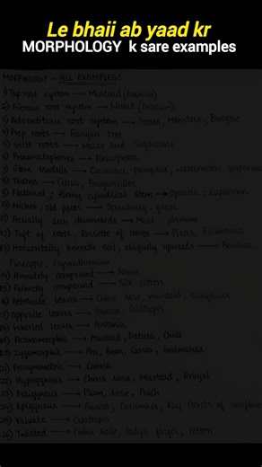 morphology in one page !! #neet #biology #viral #neetaspirents #ytshorts #shortvideo