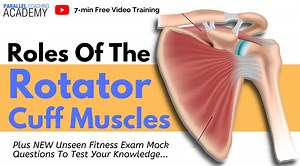 Roles of The Rotator Cuff Muscles