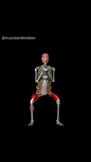 Boost Your Leg Day with Goblet Squats! 🦵💥 This killer exercise engages your core and arms. And let’s not forget about the erector spinae since you're holding onto the weight in front of your body. Are you ready to take your training to the next level? Check out our STRENGTH TRAINING APP link in the bio! #GobletSquat #FitnessGoals #LegDay #WorkoutMotivation #Muscleandmotion