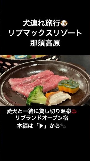 【犬連れ旅行】コスパ最強！リブランドオープンのリブマックスリゾート那須高原！愛犬と一緒に貸し切り温泉♨️ #犬と旅行 #犬連れ旅行 #伊豆高原