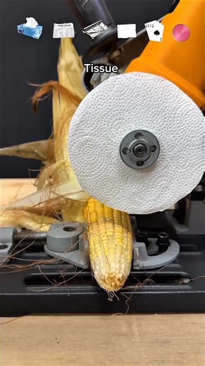 Cutting Corn: An ASMR Experiment