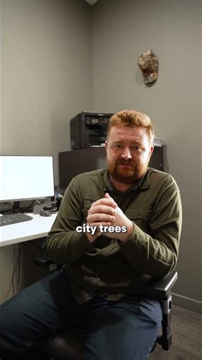 Why Porous Pave Protects Urban Trees Better Than Metal Grates