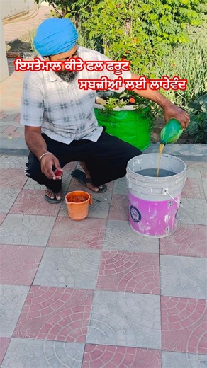 ਇਸਤੇਮਾਲ ਫਲ ਫਰੂਟ ਸਬਜ਼ੀਆਂ ਲਈ ਲਾਹੇਵੰਦ organic vegetable tips 🥗@AmarjitSingh-o2w #vegetables #gardening