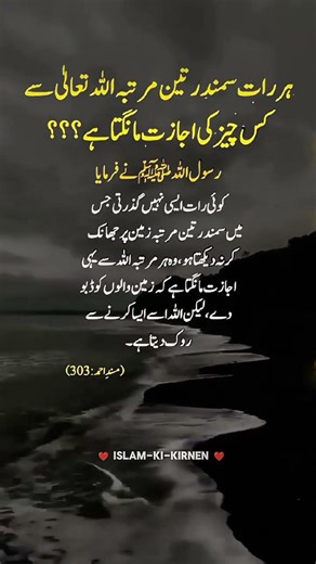 Beautiful Words #islamicknowledge #Islamic #Hadees #IslamicVideo #Poetry #islamicshorts #shorts