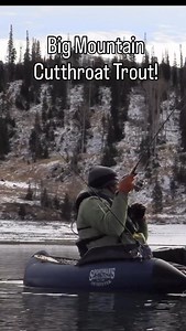 176 reactions · 9 comments | Huge high mountain Cutthroat Trout!#outdoors #utah #bigfish #trout #fish #catchandrelease #fishinglife | Hooked On Utah | Facebook