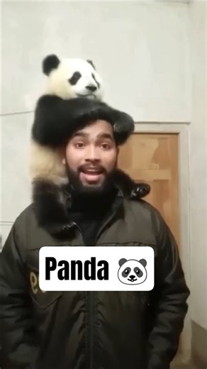 🐼 Panda Filter Tutorial 😱 #shorts #viral