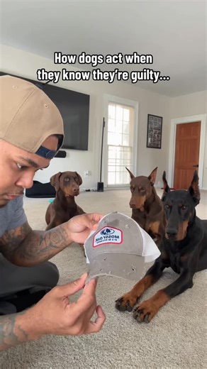 Suave Xavier | DON’T BE SUSPICIOUS 👀🤣 | Instagram