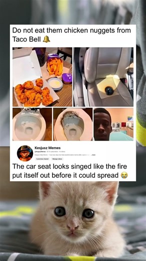 The car seat looks singed