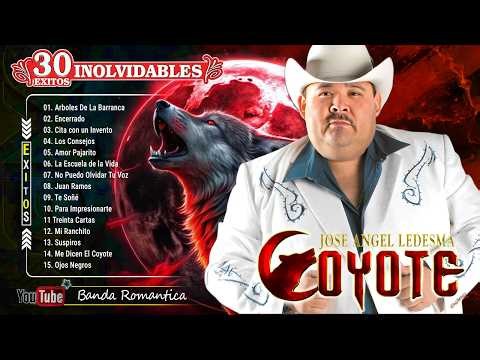 🐝 The Secret Architecture of Bees – The Small Creatures Holding Up Our World