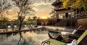 Wildlife Safari Experiences at Naledi | Naledi Game Lodge