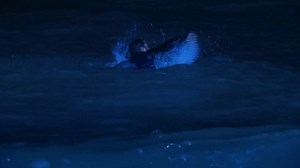 Mick Carter is lost at sea while attempting to save Linda
