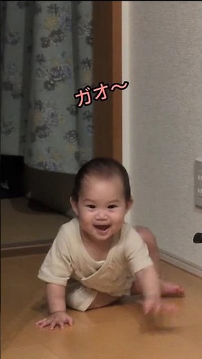 【怪獣ちびごん👶ガオ～w】# #赤ちゃん