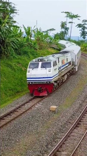 Serayu Dengan Lokomotif Ganteng #shorts #keretaapi #cc203 #indonesianrailway #train #railway