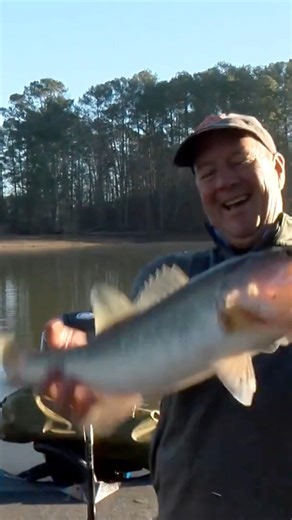 Steve Kennedy started the morning off with a Lake Martin special 👊 Who’s tuning in for Day 1’s #BassLIVE coverage? #bass #bassmaster #BassElite #bassfishing | Bassmaster