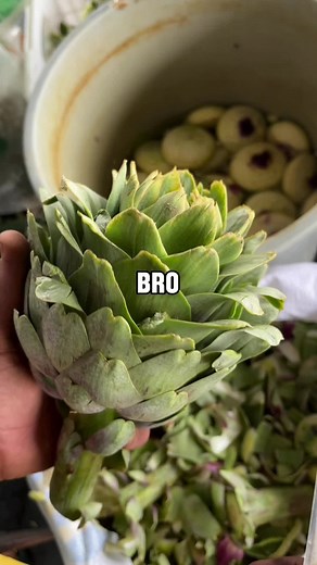 Engaging Text Stories for Memorable Storytime