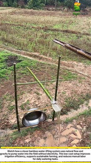 This Genius Bamboo Water Lift Saves Farmers Time | Simple Irrigation Hack