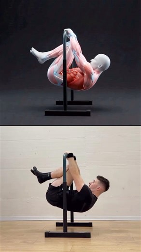 Master the Front Lever: Step-by-Step Guide 🚀 #calisthenics #shorts