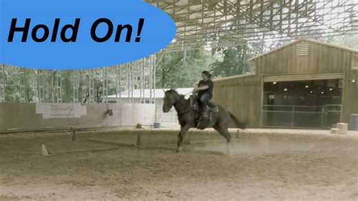 13K views · 246 reactions | A great exercise to work several things. Simple but can be very challenging. | Tim Anderson Horse Training | Facebook