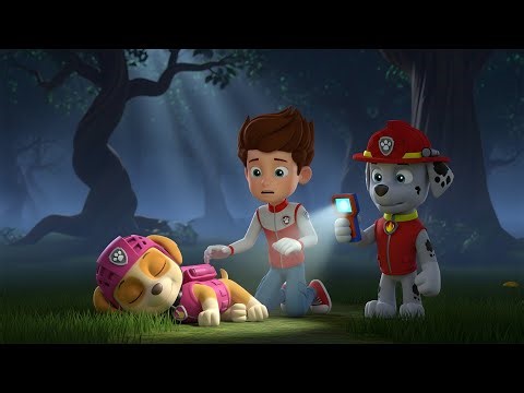 PAW Patrol Emergency 🚨 Skye Won’t Wake Up After Eating a Poisonous Berry 💤🍄 Kids Cartoon 2026
