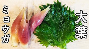 【ミョウガと大葉のレシピ】切って和えるだけ。簡単な副菜の作り方 火を使わないおいしいおかず。